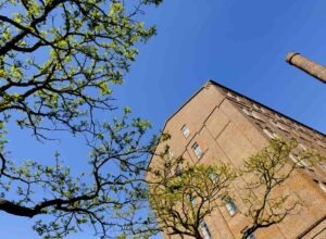 Gebäude mit Baum