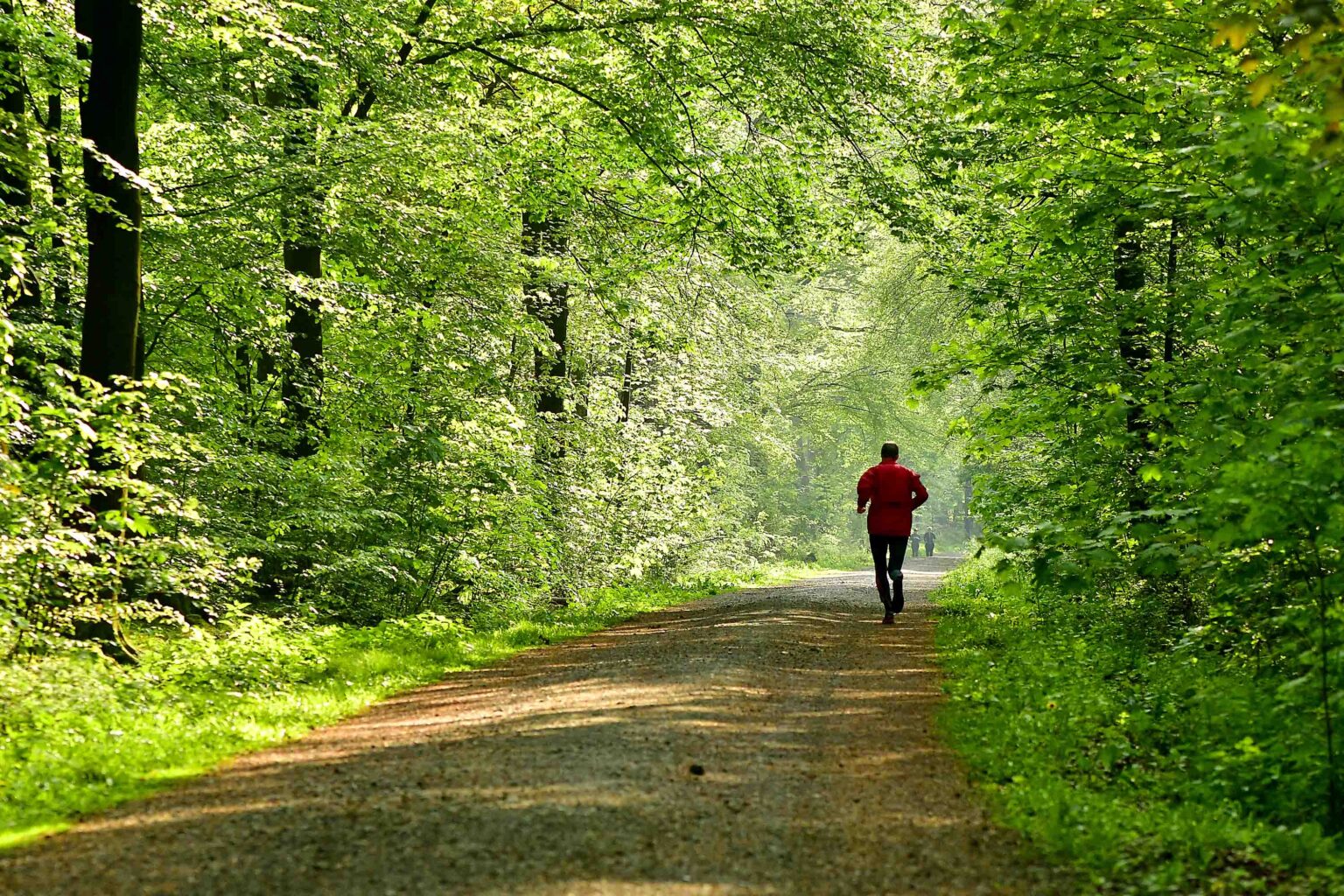 VHS-Duisburg: Landschaftswandel und Vegetation zwischen Hüttenheim und Ungelsheim