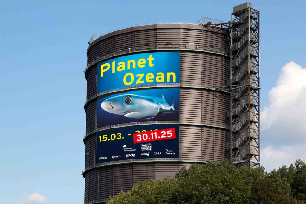 Besucherrekord und Sonderöffnung Gasometer-Dach