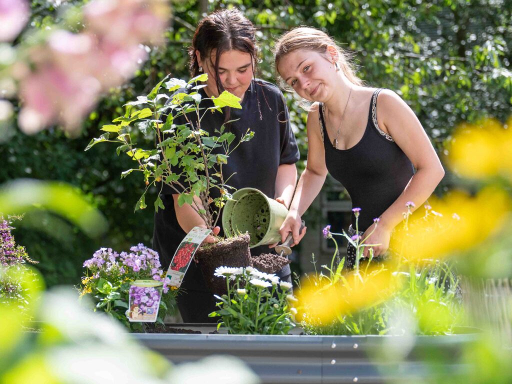 Schulische Berufsfeld-Erkundung im Garten- und Landschaftsbau