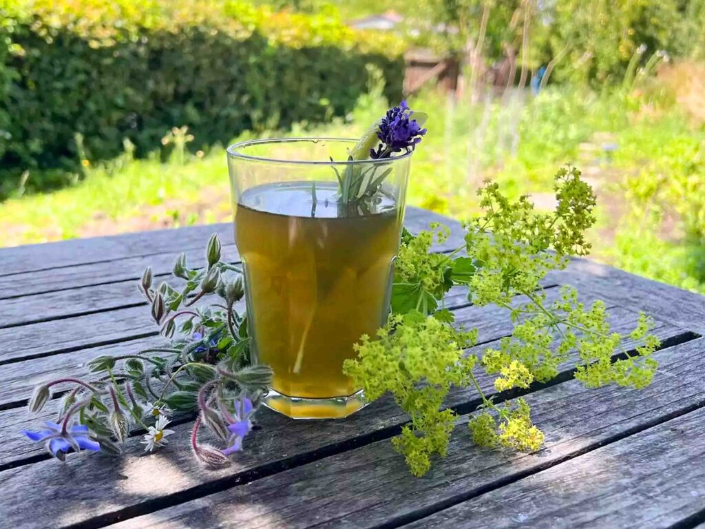 Kühle Limo für heiße Tage – so wird aus Gartenkräutern ein leckerer Drink