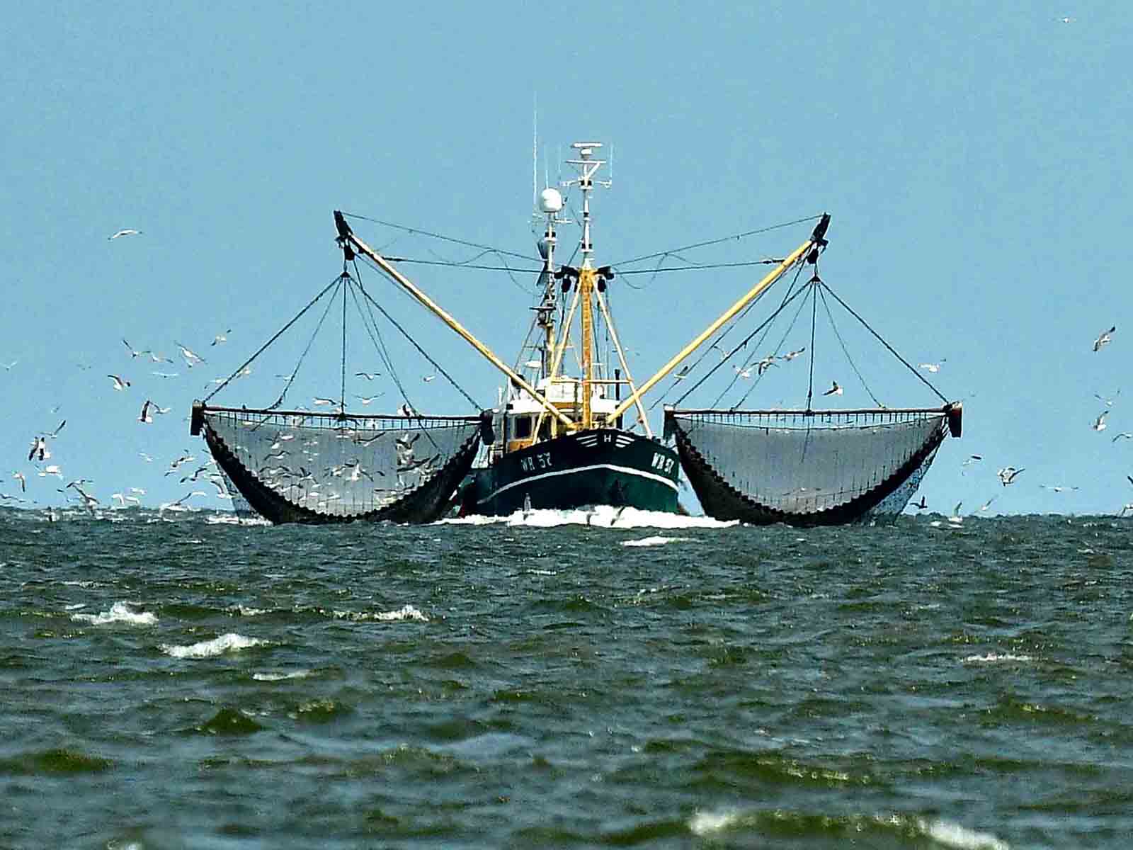 Fischkutter mit ausgefahrenen Fangnetzen (Symbolbild)