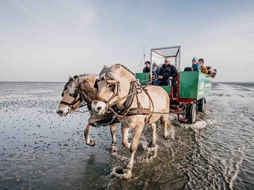 Kutschfahrt durchs Watt