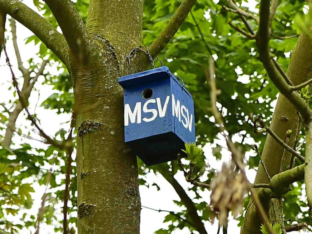 Tierische Lebensräume im Garten schaffen Nistkasten im blau-weißen MSV-Look