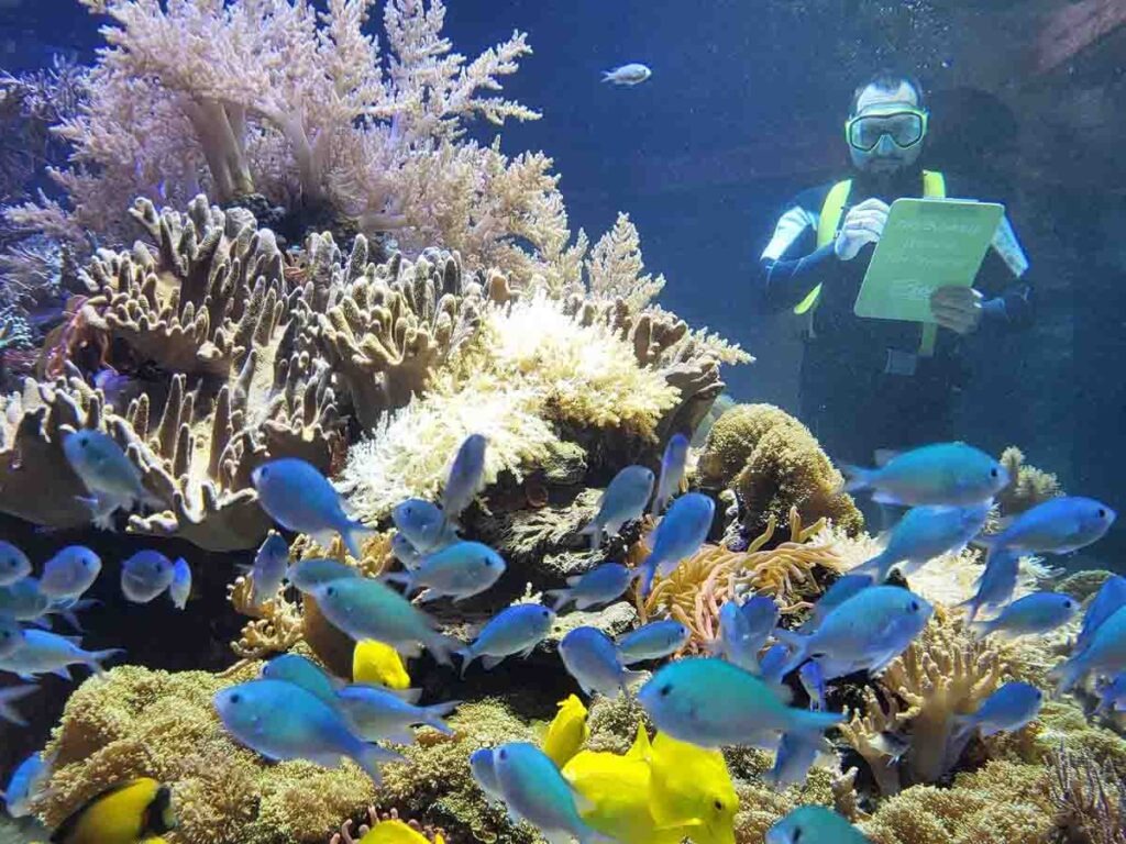 Inventur im Zoo Duisburg, Taucher mit Klemmbrett