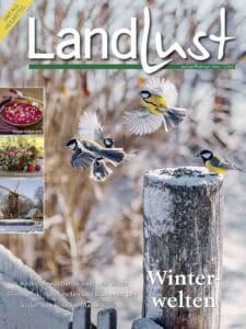 Cover der Ausgabe 01/2026