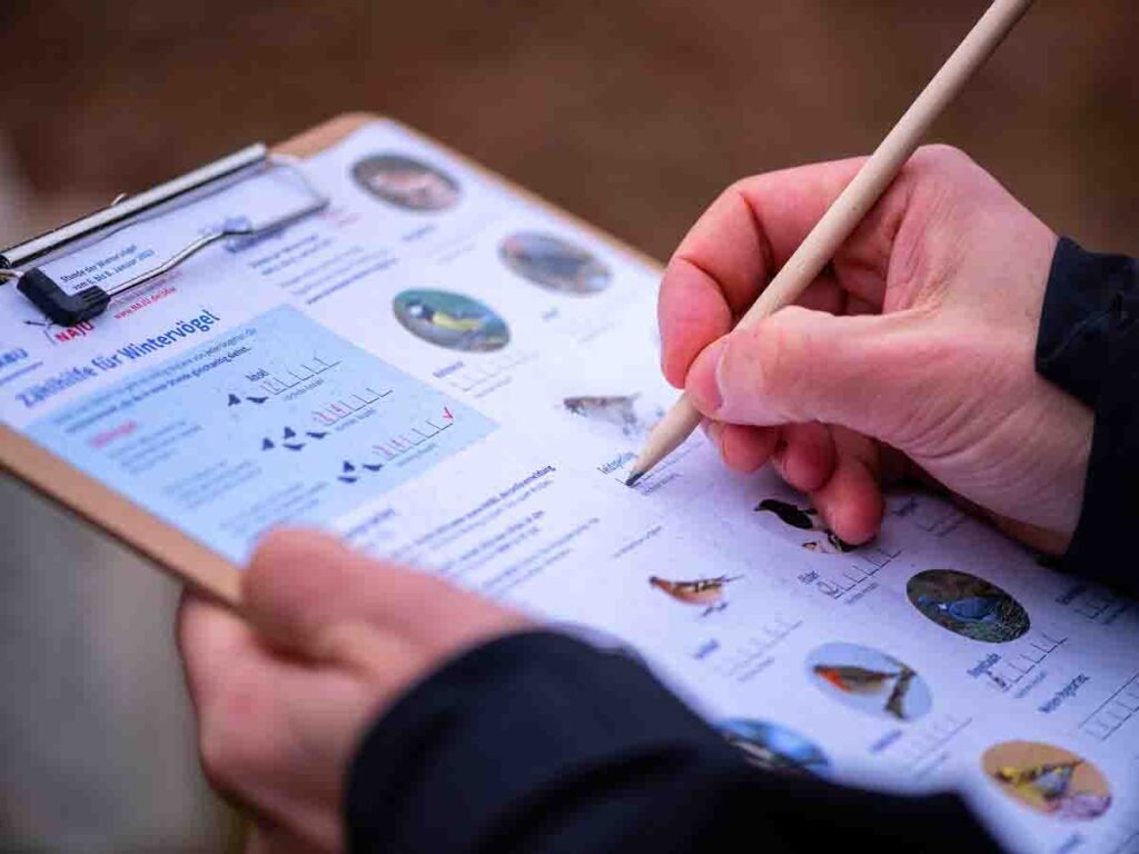 Zählhilfe für Stunde der Wintervögel
