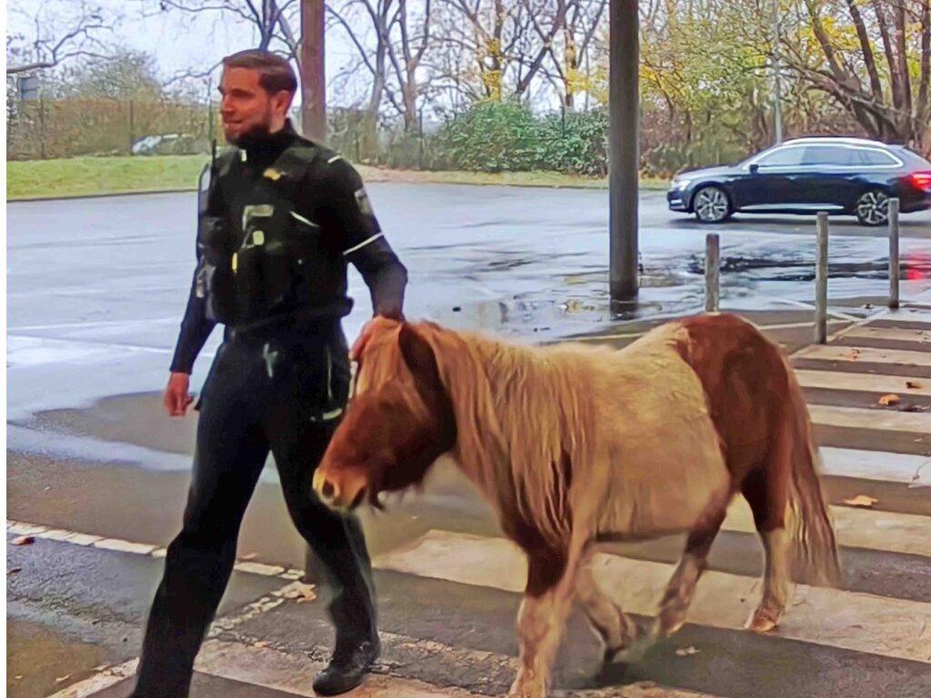 Polizeibeamter mit Pony