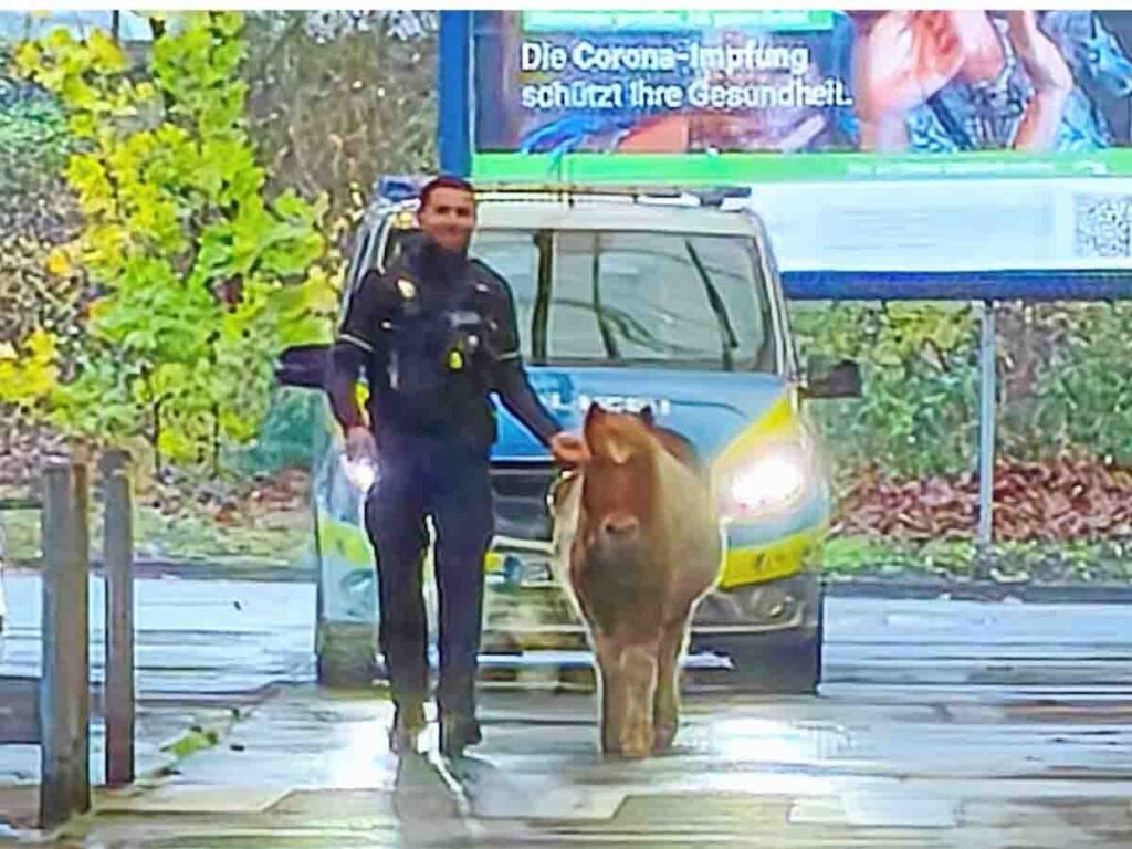 Polizeibeamter mit Pony