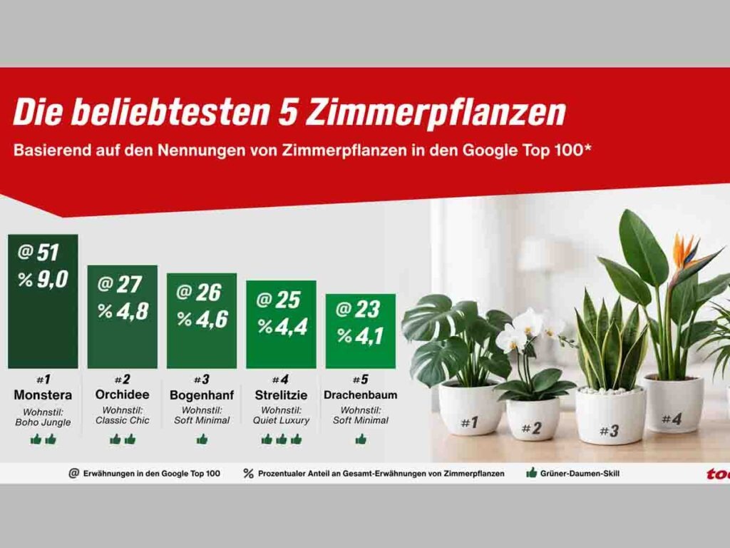 Zimmerpflanzen Trends 2026: Diese Pflanzen sind besonders beliebt Statistik