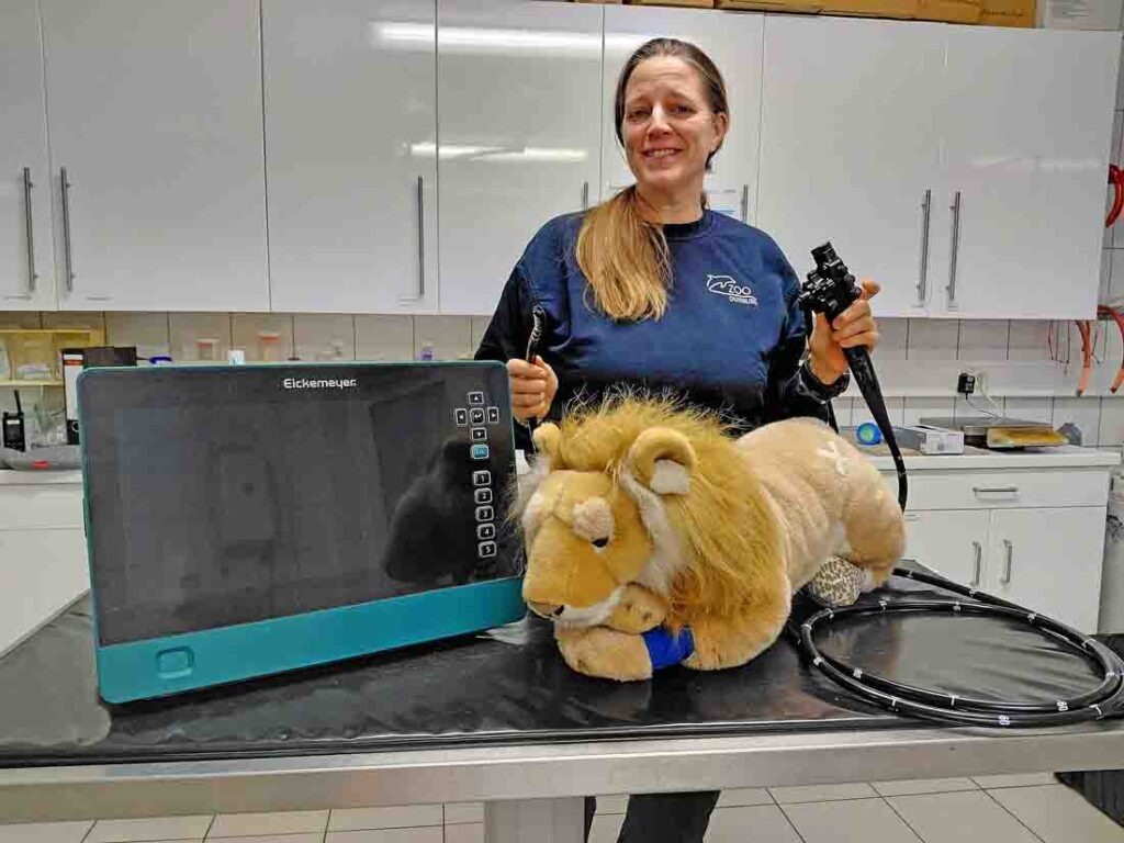 Hightech-Endoskop erweitert die tiermedizinische Diagnostik Endoskopische Gerät und Stofftier-Löwe