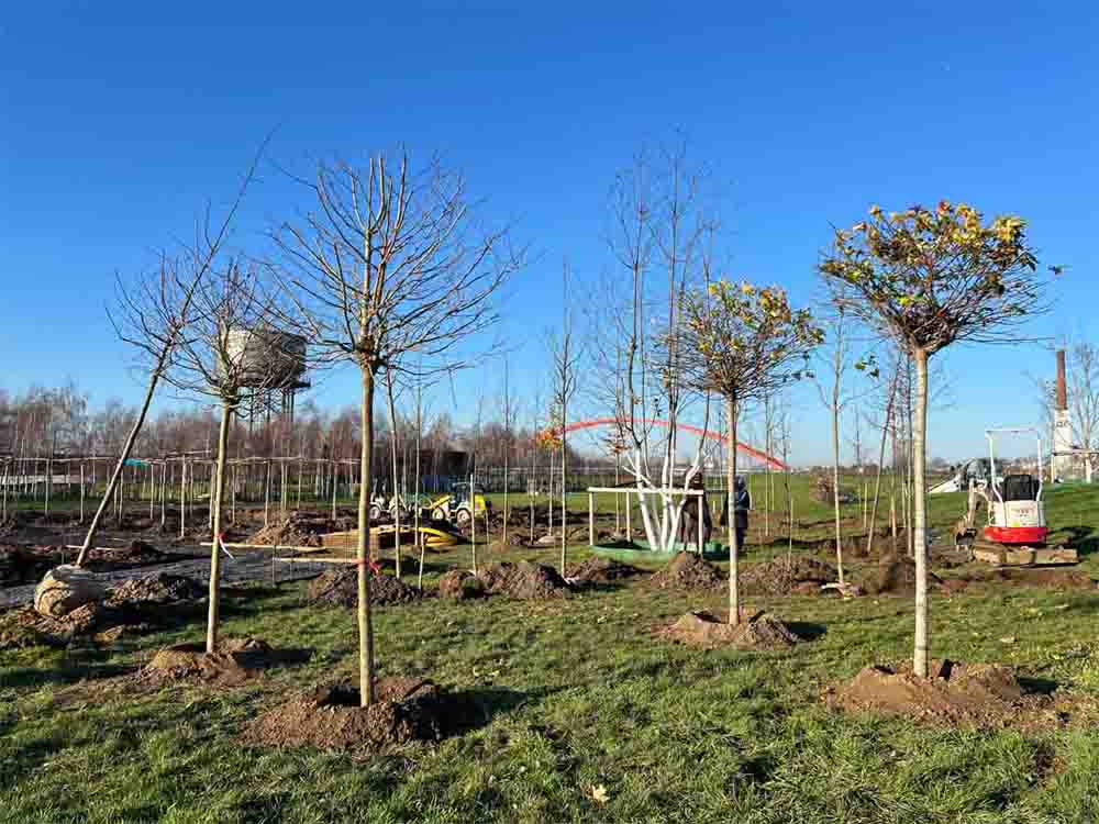 Über 150 Bäume wurden im Rheinpark gepflanzt