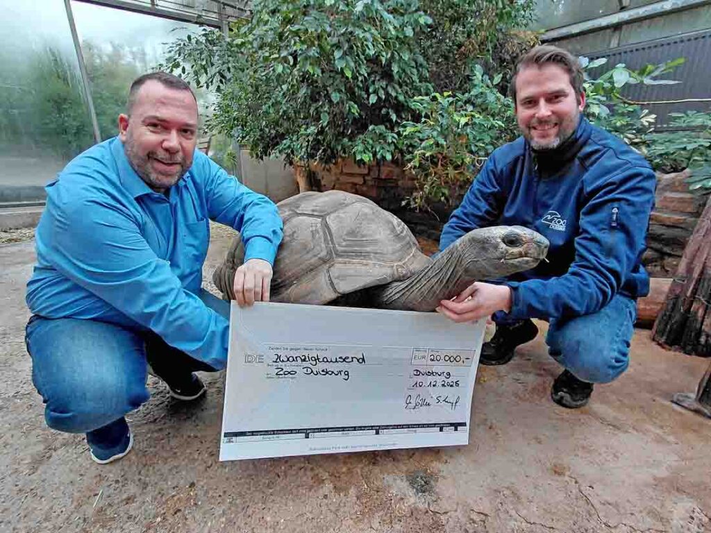 2 Personen, 1 Riesenschildkröte