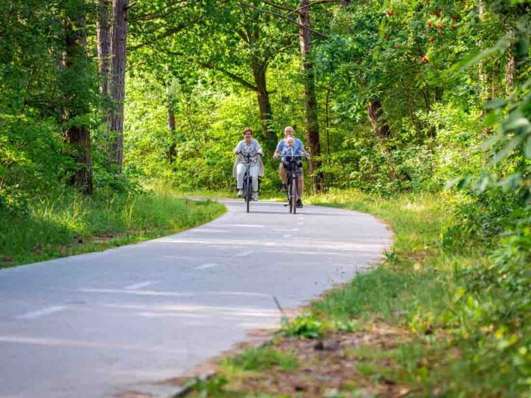 Radfahrer im Wald von Texel