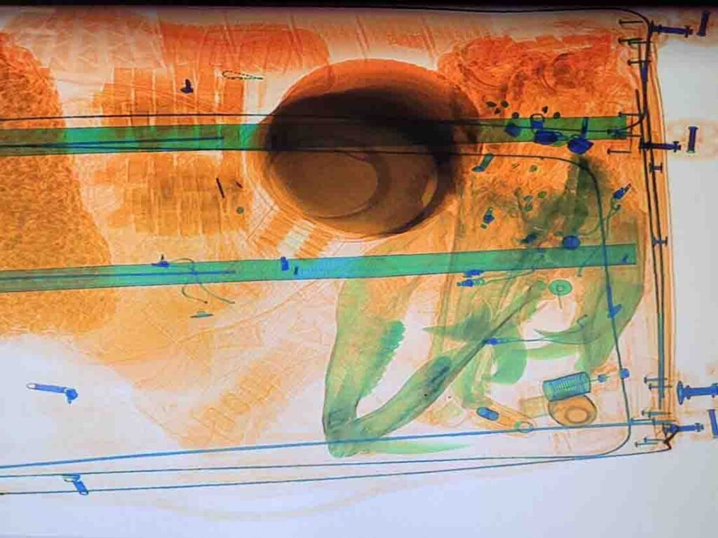 Wildschweinschädel wird durchs Röntgen im Koffer erkannt