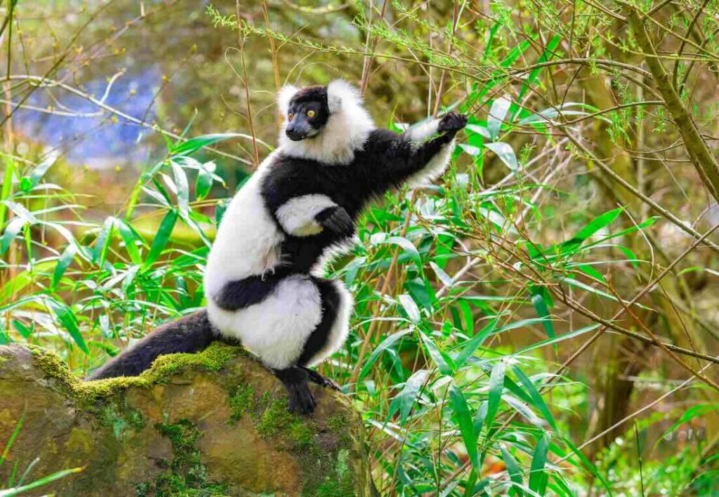 ZOO-Duisburg: Besondere Angebote am Osterwochenende