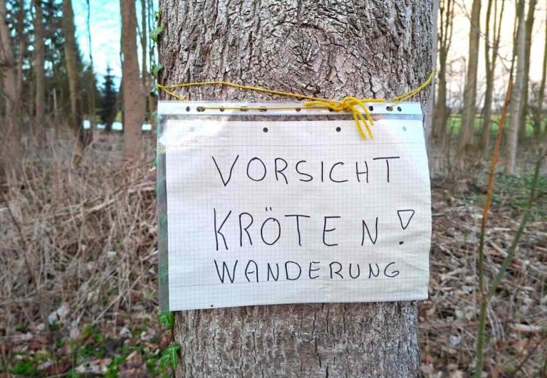 Schild