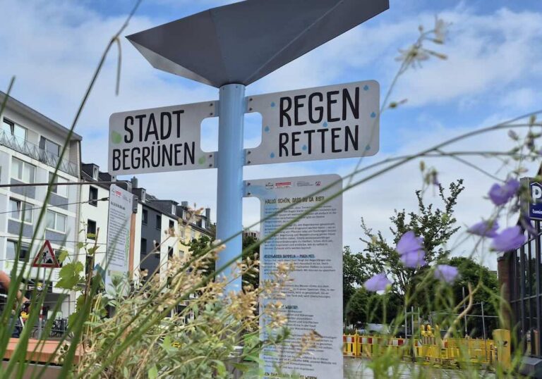 Schild