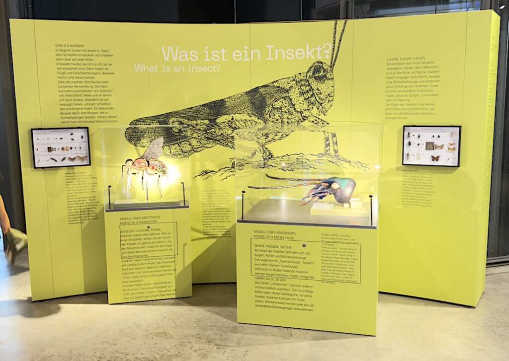 Ausstellungs-Display