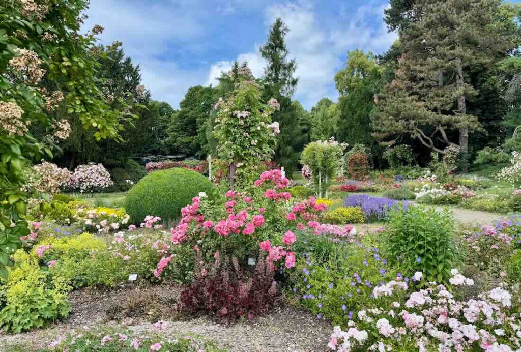 Rosengarten