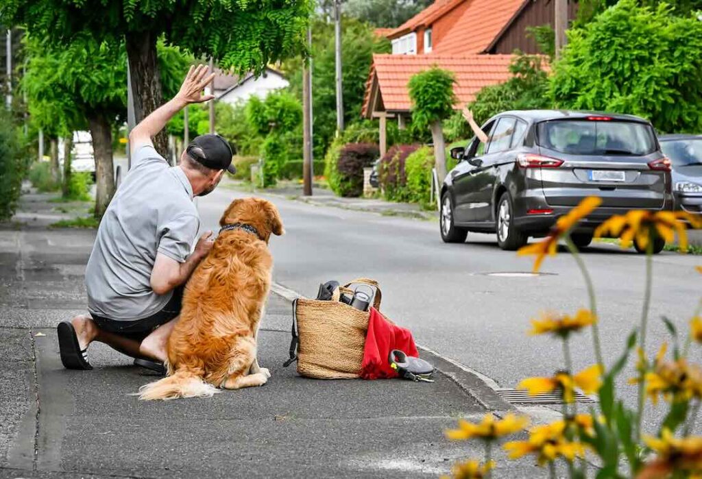 Hundesitting