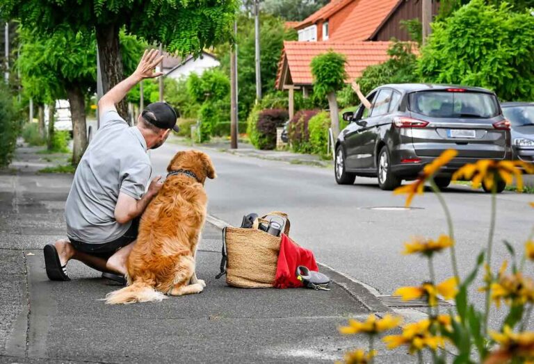 Hundesitting