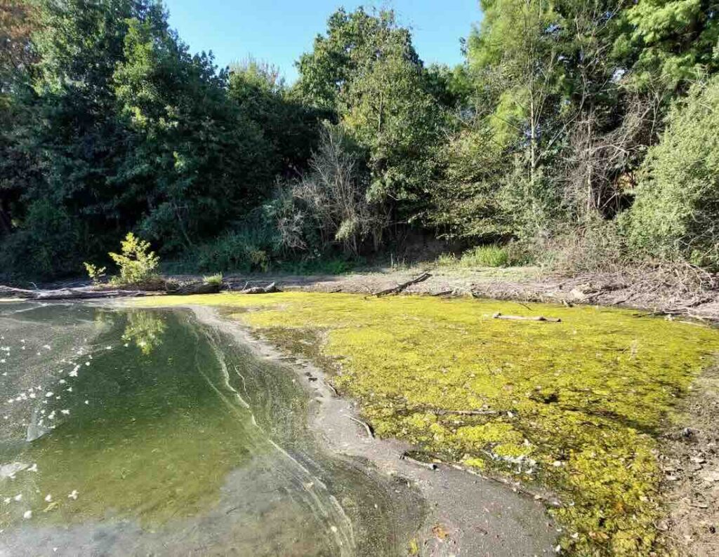 Blaualgen im Uettelsheimer See: Wasserspielplatz vorsorglich gesperrt Uettelsheimer See