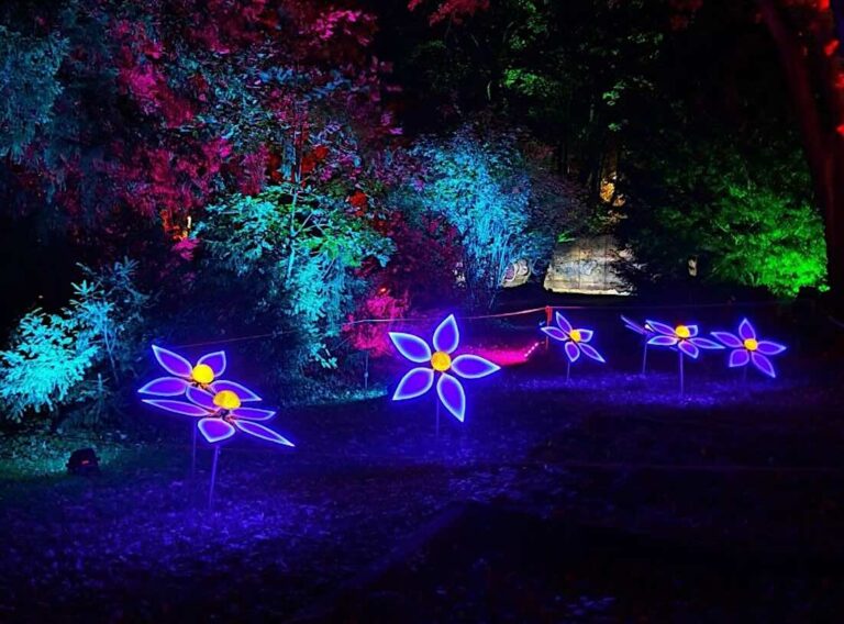Lichtinstallation