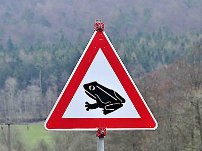 Warnschild zur Krötenwanderung